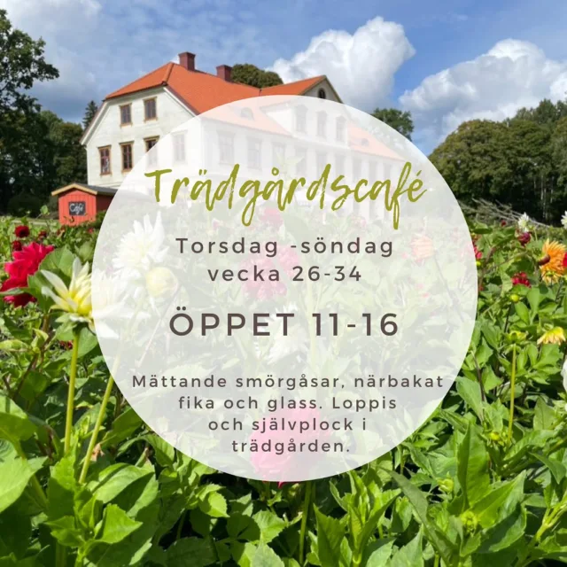 Trädgårdscafé på Årås ☀️ 

Vårt mysiga Trädgårdscafé och loppisen är öppet torsdag-söndag mellan 11-16. Vi ser fram emot ditt besök i Säteriparken. Under säsongen har vi även självplock i trädgården med grönsaker, blommor och örter.

Välkomna på en fika eller lättare lunch! ☕️ 

#åråssäteri #utflykt #sommarcafé #loppis #öppenträdgård