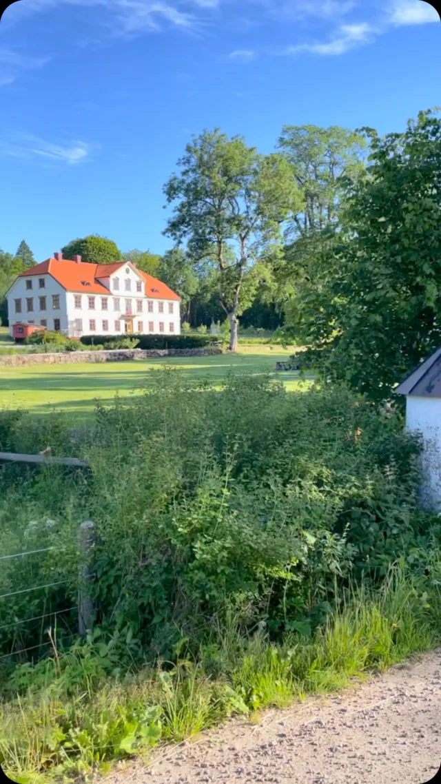 Byggnadsvårdsläger 🔨 

Solen strålar ikapp med deltagarna på årets läger. Fönster, balkong och lerklining blandas med mat, umgänge och härlig stämning. 

Vi låter oss inspireras av Ler-Ulf, Fru Lunett och Bosses bygg och båg ✨

#byggnadsvårdsläger #åråssäteri #byggnadsvård  @frulunett @ekoulf @byggnadsvardsforeningen
